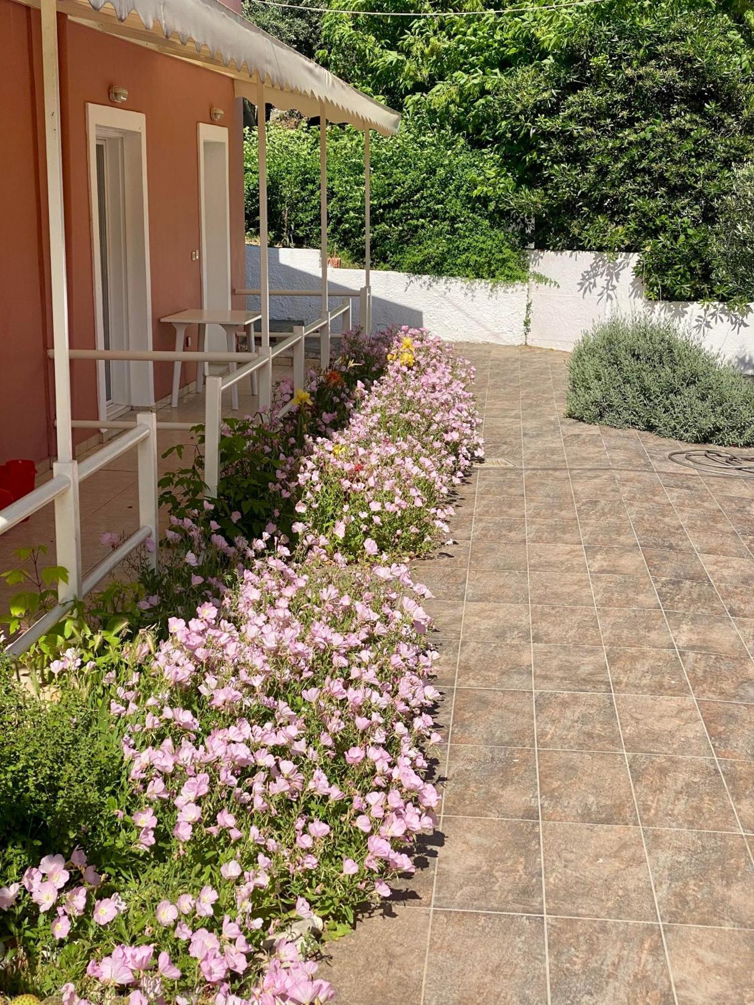 Paradiso Sea View And Pool Corfu Aparthotel Ipsos